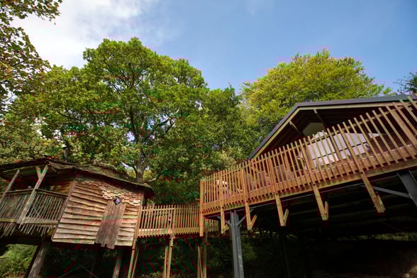 Classic Golden Oak Treehouse