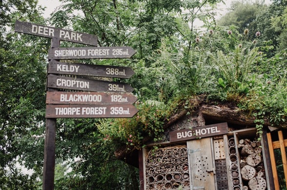 Bug hotel at Deerpark, Forest Holidays
