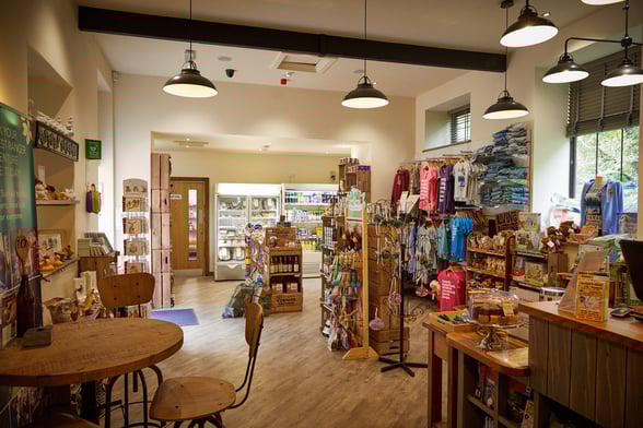 Shop area at Deerpark, Forest Holidays