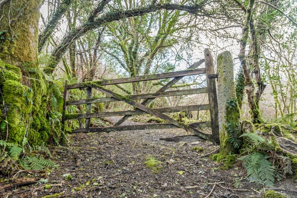 Gateway into Cardinham Woods near Bodmin, Cornwall
