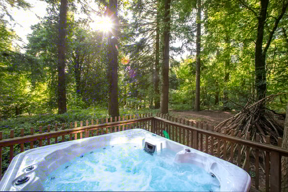 Hot tub view of the forest at Forest of Dean, Forest Holidays