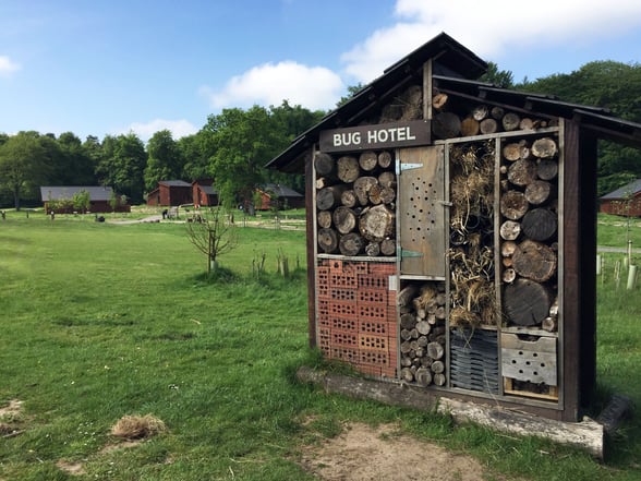 Bug hotel at Forest of Dean, Forest Holidays
