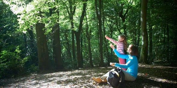 A family enjoying the walking trails through the Forest of Dean, Forest Holidays