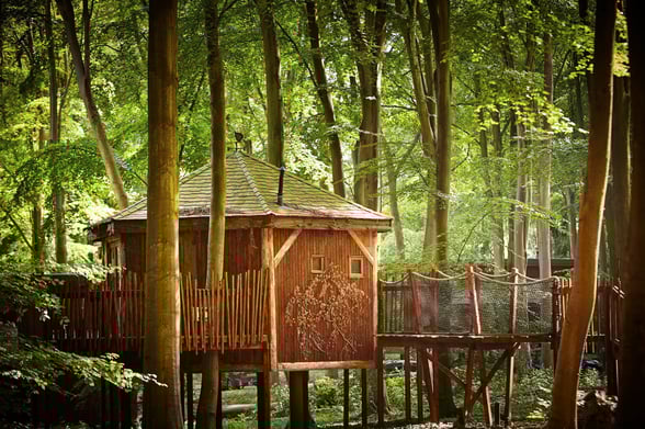Treehouse cabin at Blackwood Forest