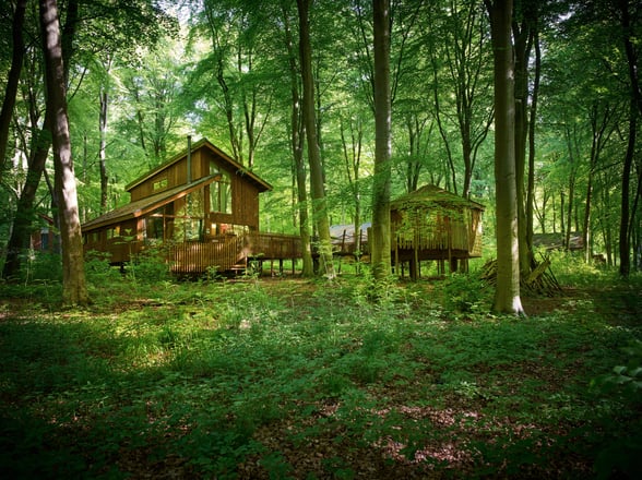 Golden Oak Treehouse at Blackwood Forest, Forest Holidays