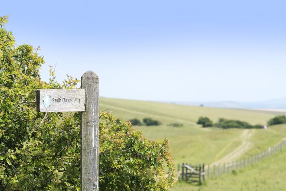 View of the South Downs Way footpath, Sussex