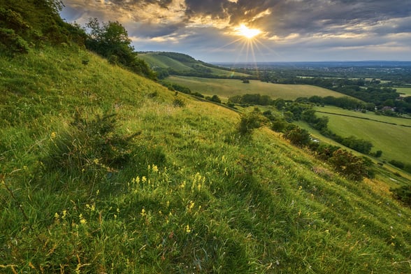 South Downs National Park, Hampshire