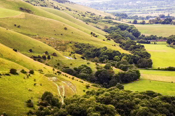 View of South Downs Way footpath, Sussex