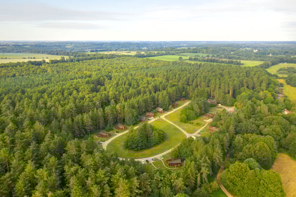 Aerial view of Thorpe Forest, Forest Holidays