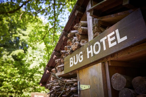 Bug hotel at Thorpe Forest, Forest Holidays