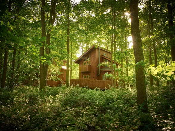 Golden Oak 1 bed cabin at Sherwood Forest, Forest Holidays