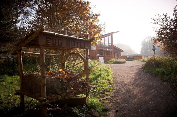 Bug hotel at Sherwood Forest, Forest Holidays