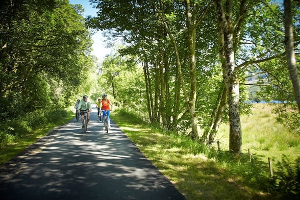 Guests on a bike ride at Forest Holidays