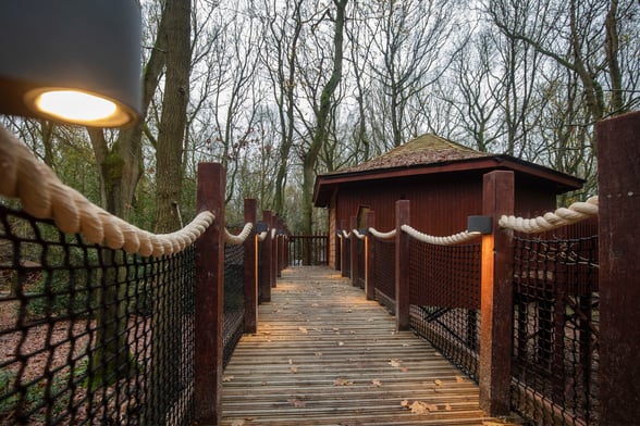 Golden Oak Treehouse bridge