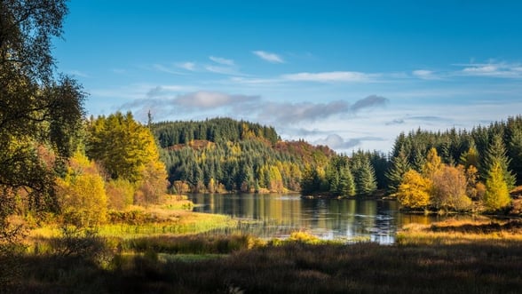 Queen Elizabeth Forest Park, Scotland