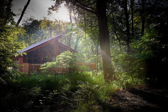 Log cabin nestled in the trees at Beddgelert, Snowdonia