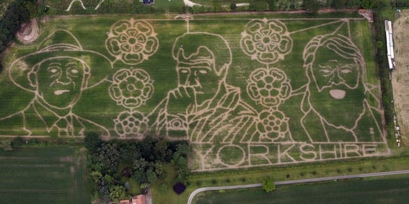 York Maze, Yorkshire