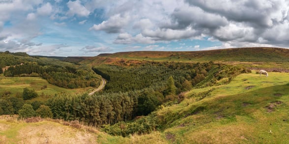 North York Moors Landscape in Newtondale