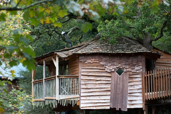 Golden Oak Treehouse at Keldy, Yorkshire