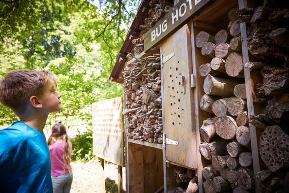 Bug hotel at Keldy, Forest Holidays