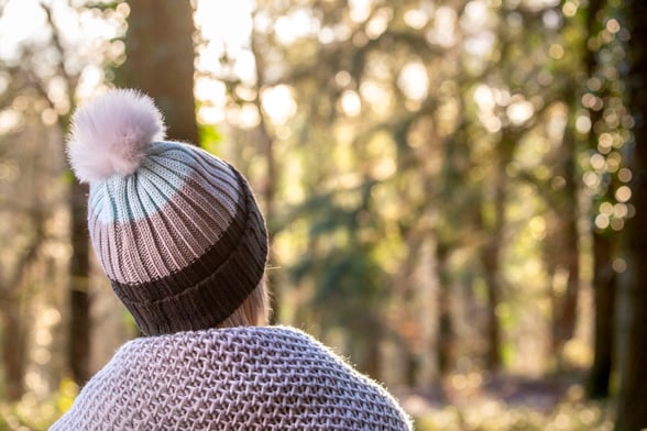 Forest bathing in every season