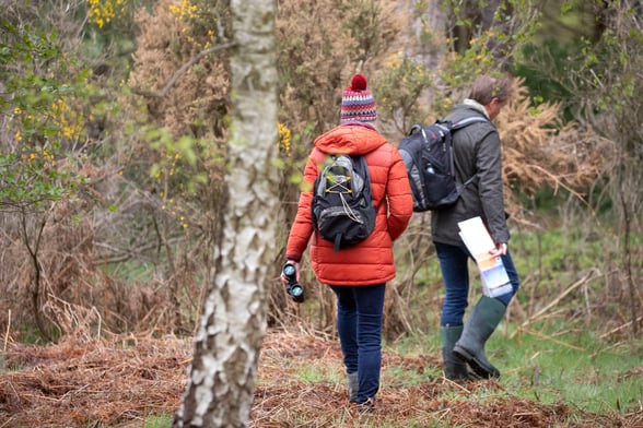 Couple walking in the Autumn
