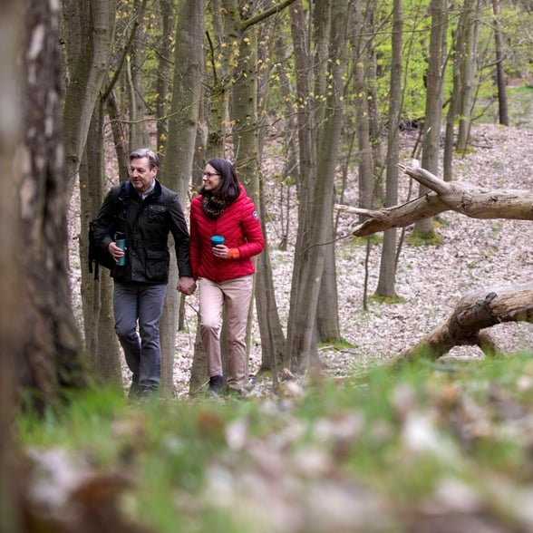 A couple walking through the forest in autumn, enjoying their walking holiday
