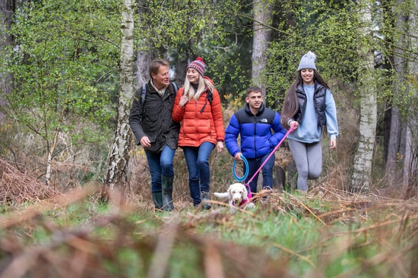 Group walking in the forest with a dog on their hiking holiday