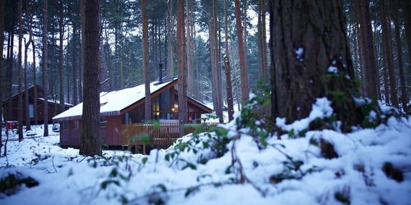 A cosy cabin nestled within the forest at winter