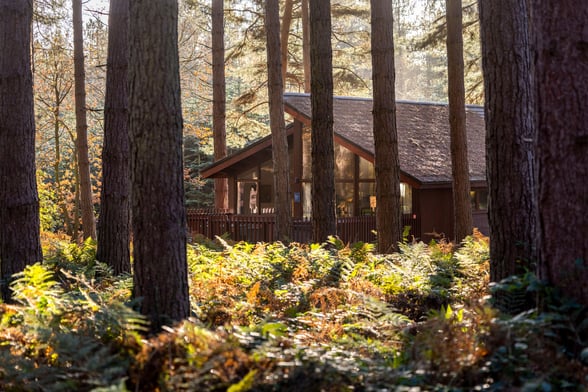 Forest Holidays cabin in Delamere Forest, Cheshire