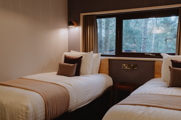 The Unfurl Cabin (2-bed)  