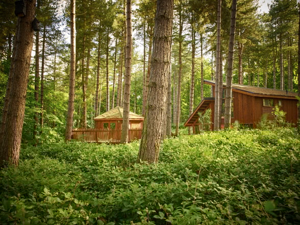 Exterior view of the Golden Oak Treehouse at Sherwood Forest, Forest Holidays