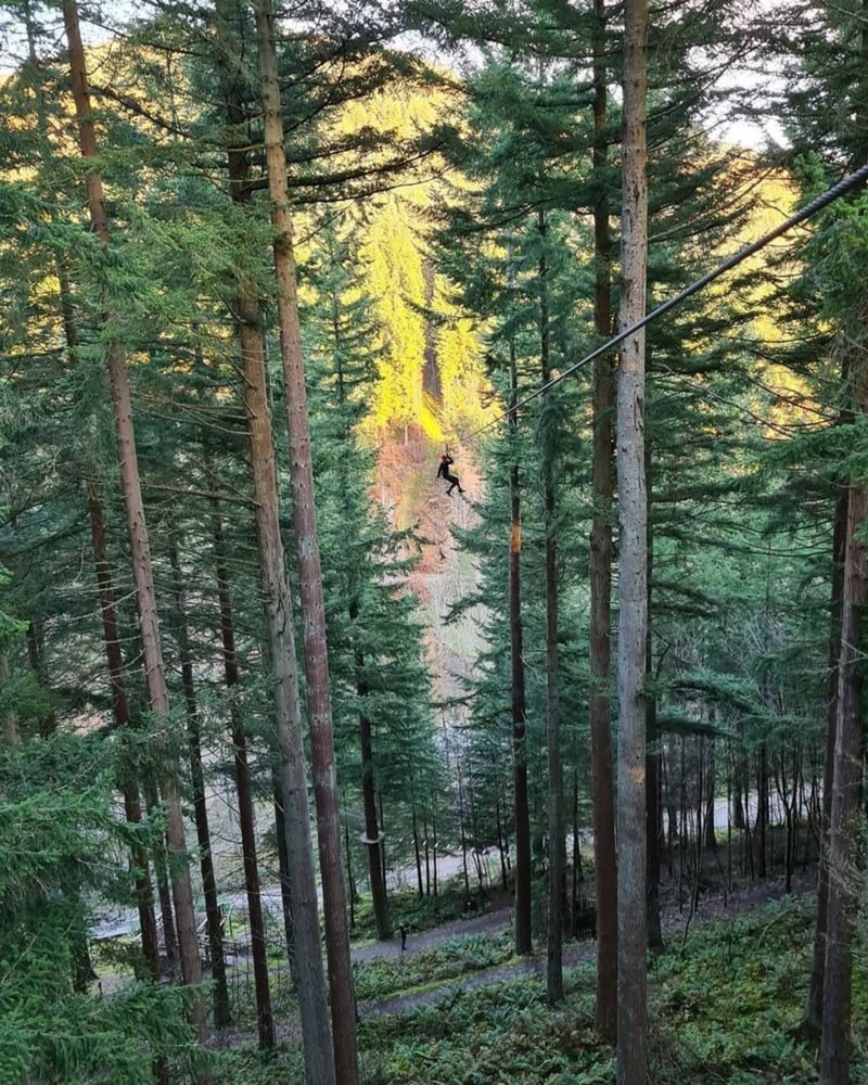 Zip through the trees, cross rope bridges, and tackle challenging obstacles.