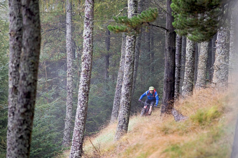 The world renowned 7Staines mountain bike centre has trails for all skill levels.