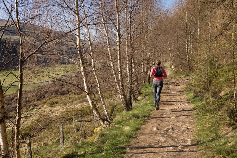 Trail runners can enjoy forest paths, gentle inclines, and steep climbs.