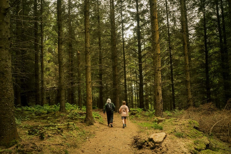 One of our Forest Ranger's with guests in forest.