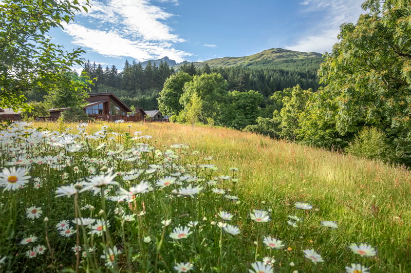 Landscape view at Forest Holidays location