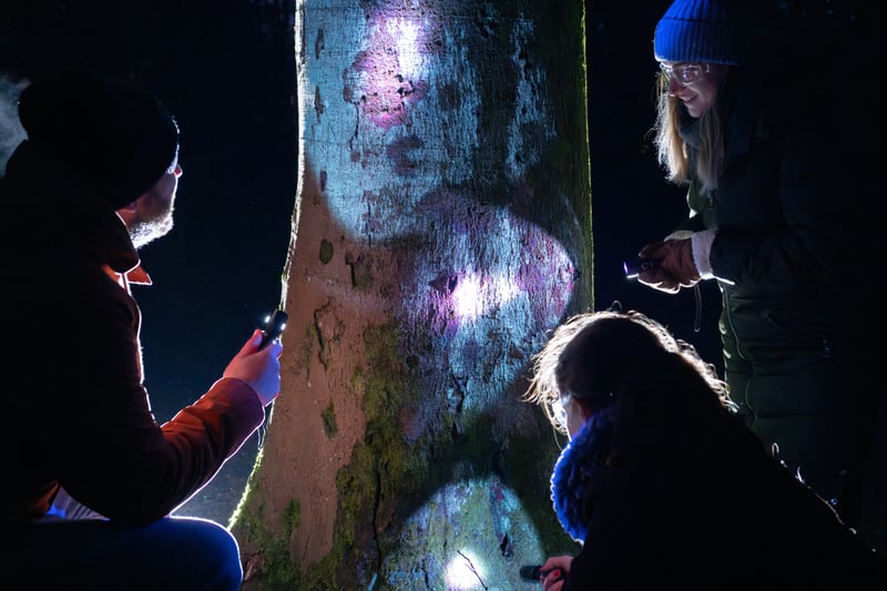 Guests using the UV torches to find examples of biofluorescence in the trees