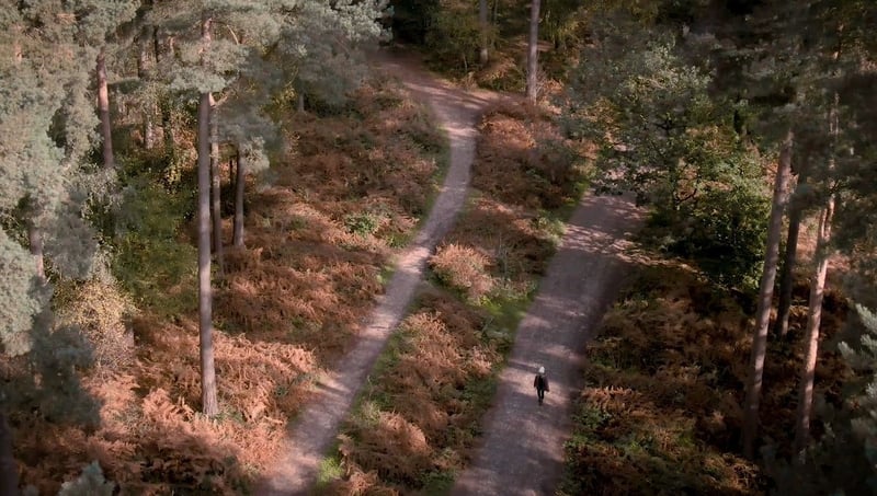 Aerial views of walking trails at Delamere Forest, Cheshire