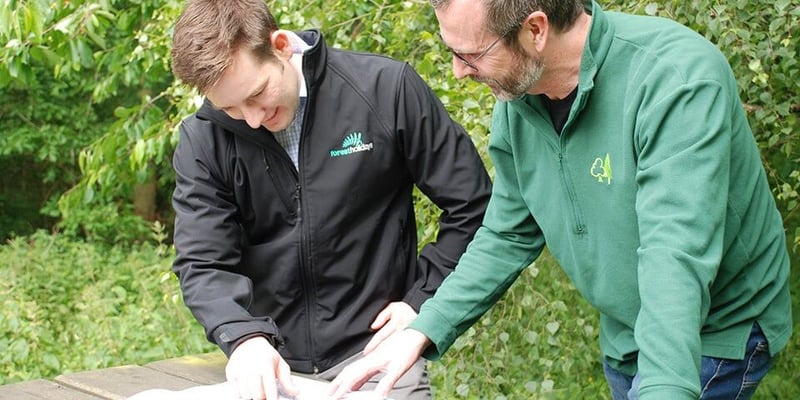 Forest Holidays team and Forestry England team working together