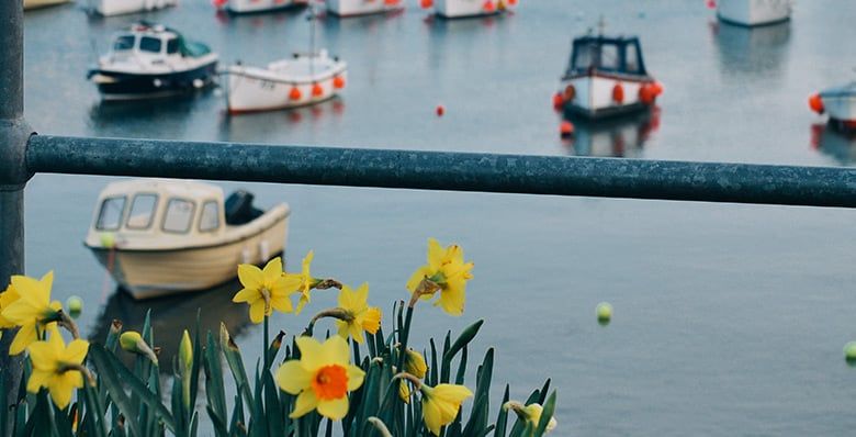 Cornwall Harbour boats 