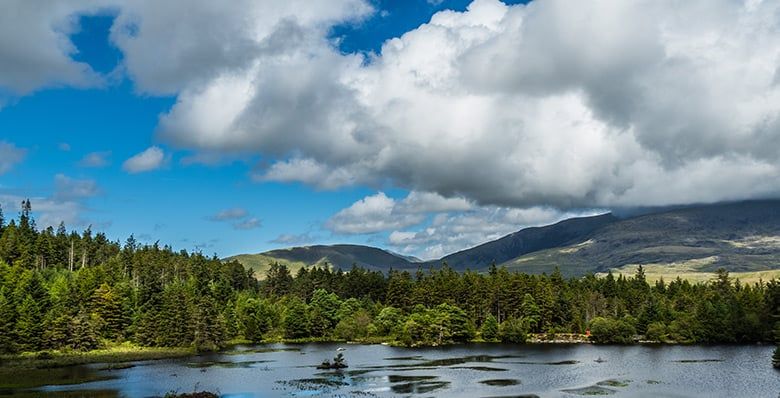 Llyn Llywelyn
