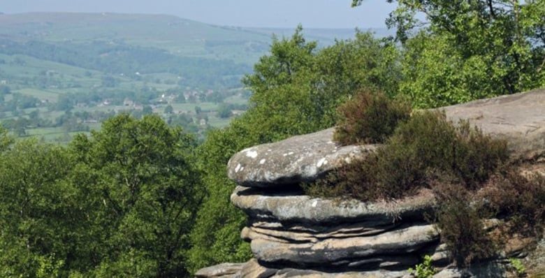 Brim Hamrocks