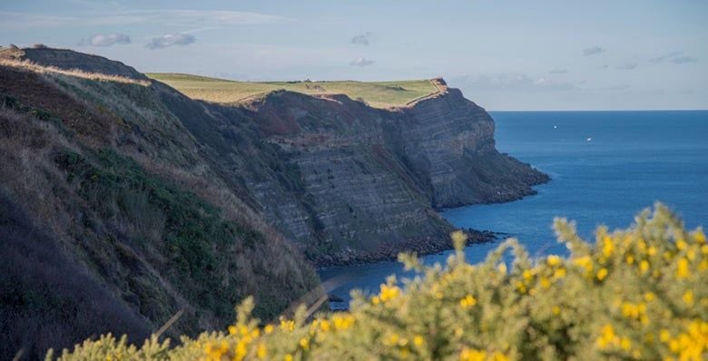 Cleveland way Coastal path