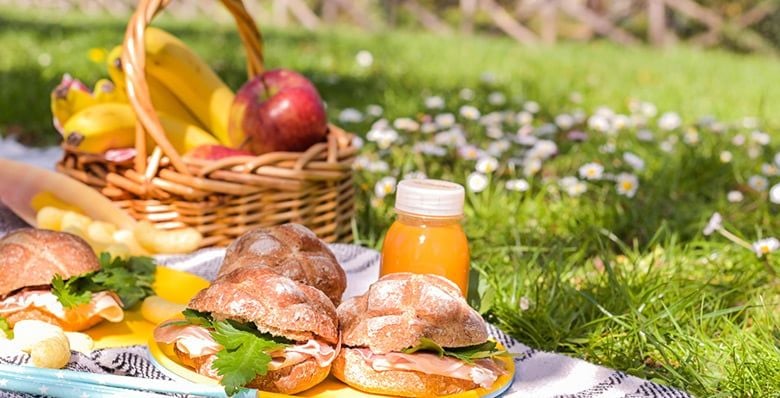 Picnic in the forest