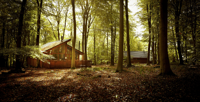Blackwood Forest in autumn