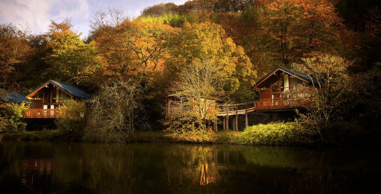 Forest Holidays Deerpark in autumn