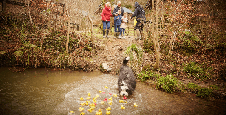 Family and dog exploring the forest at Deerpark, Forest Holidays
