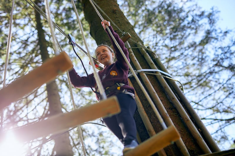 Treetop Adventure Plus at Go Ape