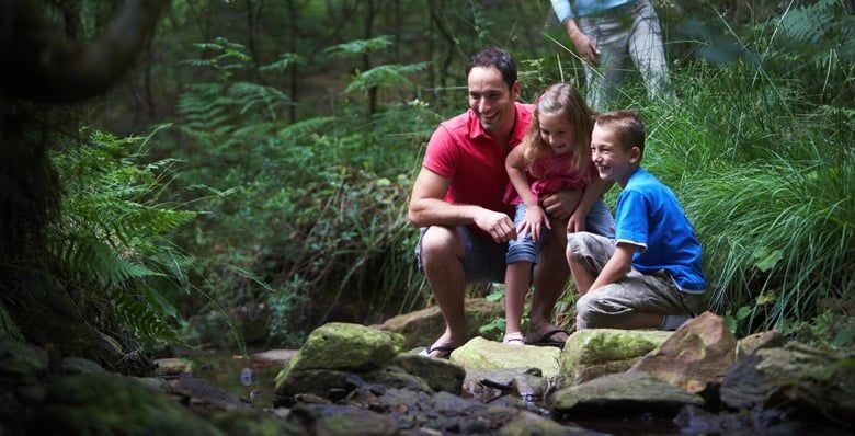 Family dropping sticks into a stream